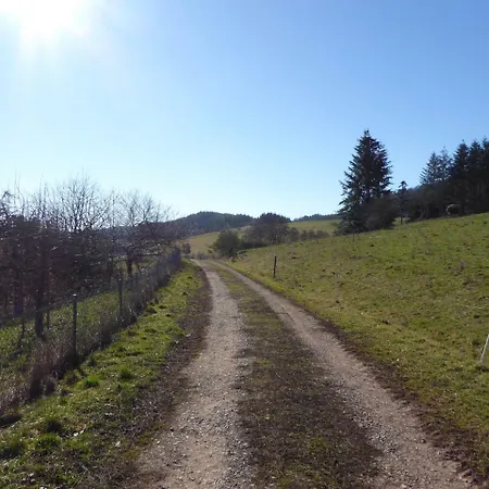 Am Rosenberg בית נופש Naurath (Eifel)