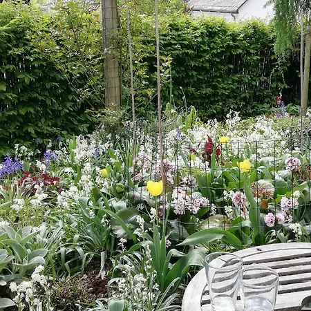 Am Rosenberg בית נופש *