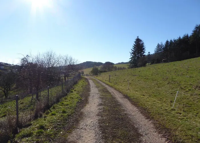 Am Rosenberg Dom wakacyjny Naurath (Eifel)