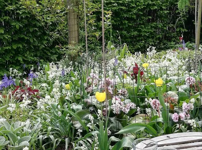 Am Rosenberg Dom wakacyjny *